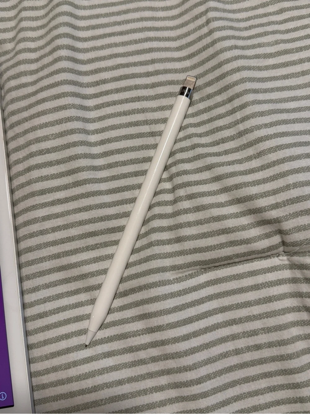 Apple iPad with White Smart Pencil - White